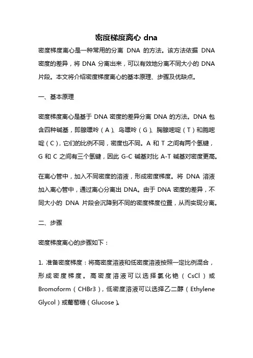 密度梯度离心 dna