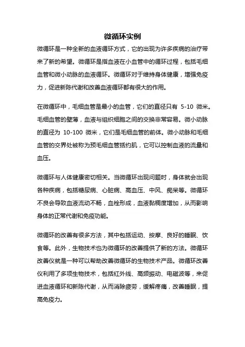微循环实例