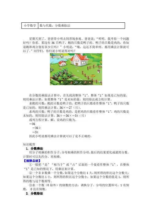 五年级数学下册专题知识讲义-数与代数：分数乘除法-北师大版