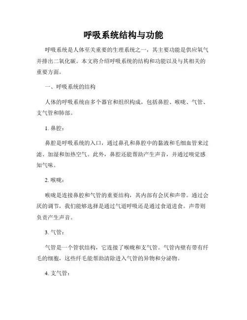 呼吸系统结构与功能