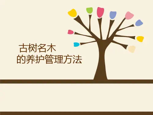 古树名木养护管理