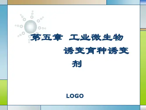 第五章 工业微生物诱变育种诱变剂