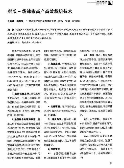甜瓜-线辣椒高产高效栽培技术
