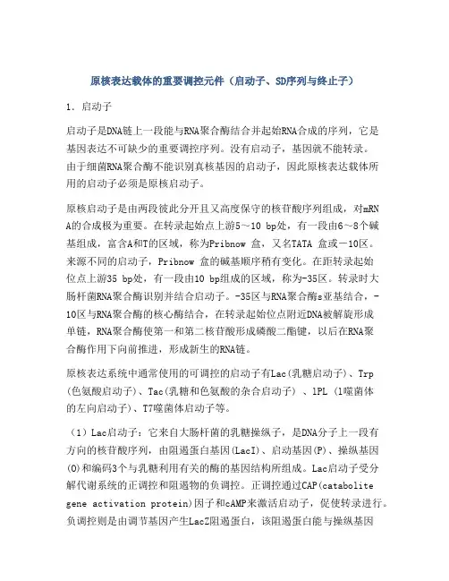 原核表达载体的重要调控元件(启动子、SD序列与终止子)