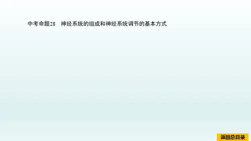 中考生物《中考命题28 神经系统的组成和神经系统调节的基本方式》作业复习