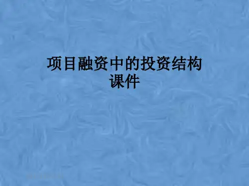 项目融资中的投资结构课件