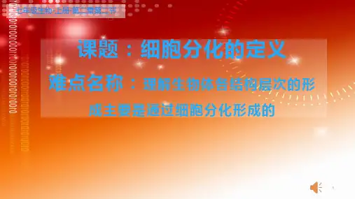 初中七年级上册生物《细胞的分化》课件