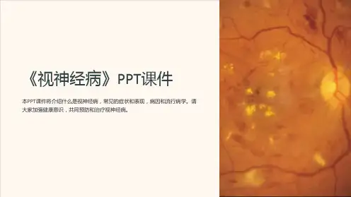《视神经病》课件