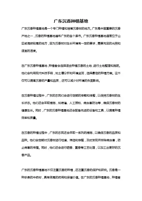 广东沉香种植基地