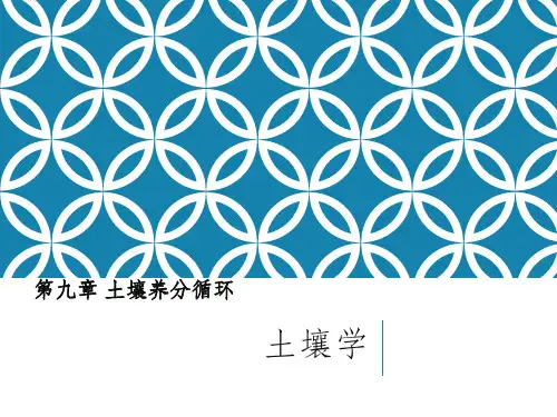 土壤养分循环