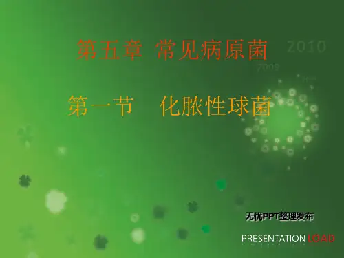 常见病原菌复习中职
