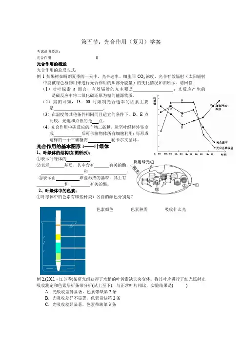 光合作用(复习)学案