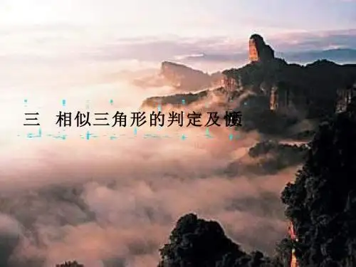 第一讲(三)相似三角形判定与性质
