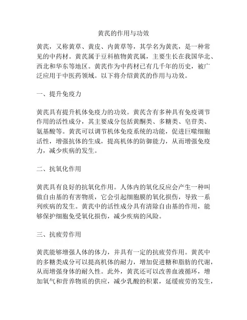 黄芪的作用与功效