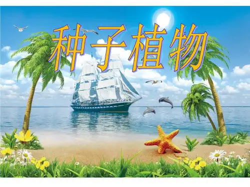 中学生物种子植物 第二课时  裸子植物和被子植物 优秀公开课课件