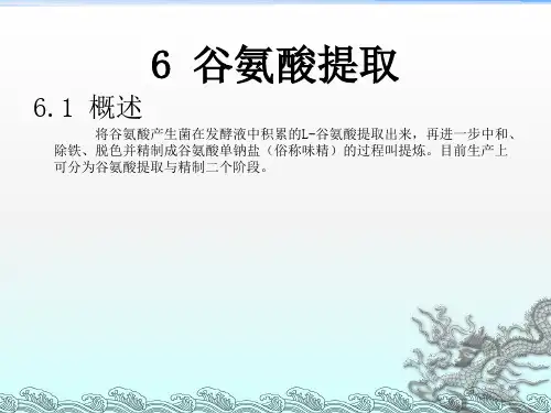 《谷氨酸提取》PPT课件