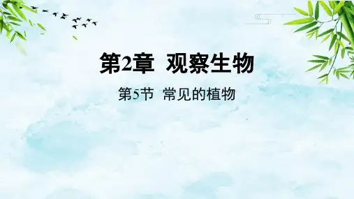 第5节 常见的植物七年级上册科学浙教版