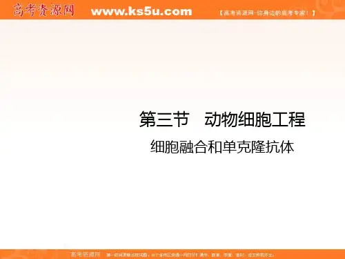 高中生物选修三2.3细胞融合和单克隆抗体课件 共17张
