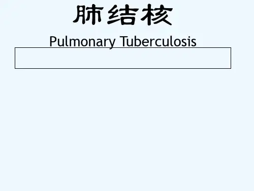 内科学-肺结核 PPT