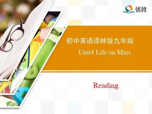 译林版英语九年级下册_Unit4_Reading精品课件