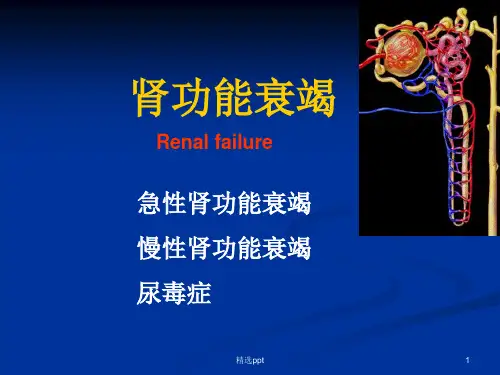 肾功能衰竭完整版本