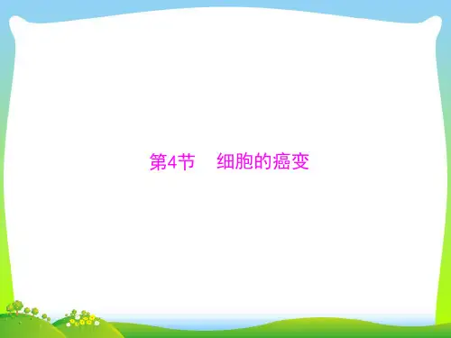 细胞的癌变_1-课件