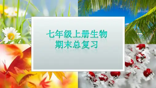 人教版七年级上册生物期末总复习课件(106张PPT)
