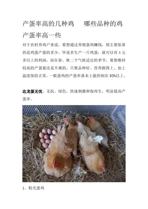 产蛋率高的几种鸡哪些品种的鸡产蛋率高一些
