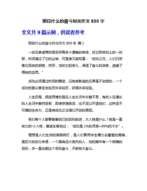 那段什么的奋斗时光作文800字