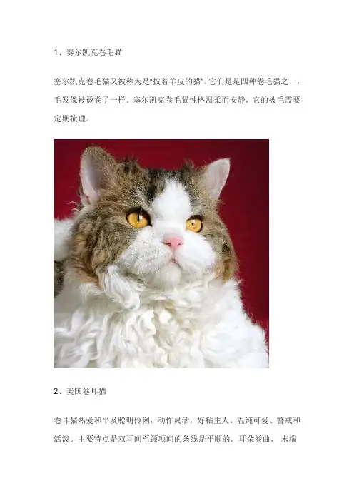 72种猫图片及名字