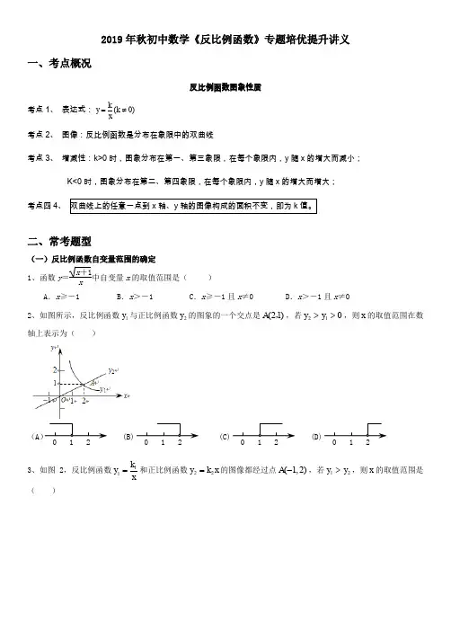 2019年秋初中数学《反比例函数》 专题培优提升讲义