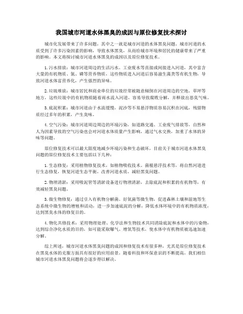 我国城市河道水体黑臭的成因与原位修复技术探讨