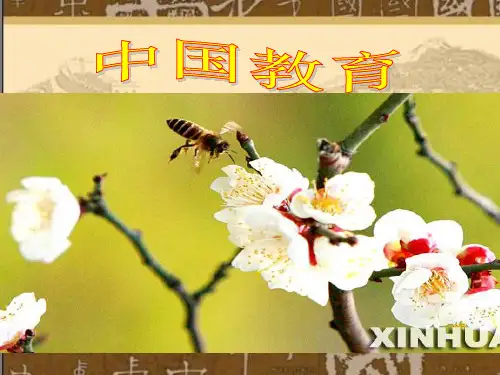 国运兴衰,系于教育ppt14 课件下载