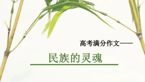 高考满分作文之民族的灵魂