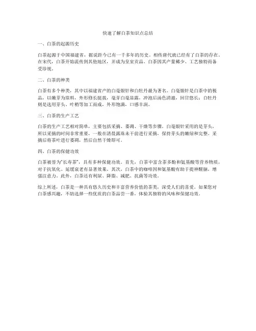 快速了解白茶知识点总结