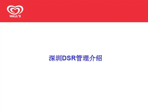 联合利华DSR管理计划
