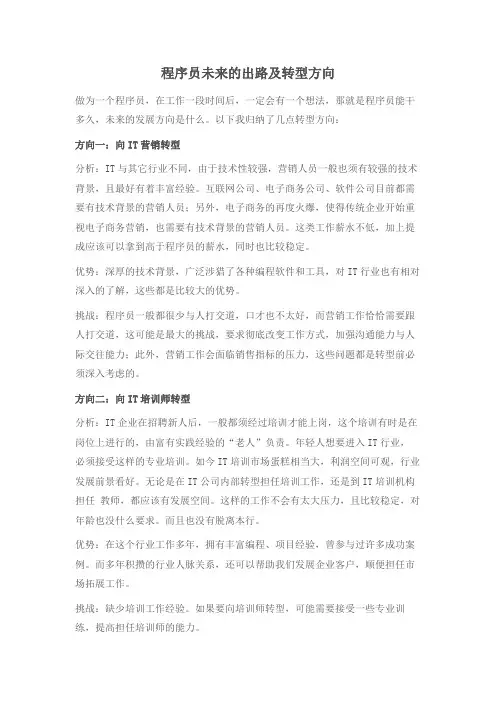 程序员未来的出路及转型方向