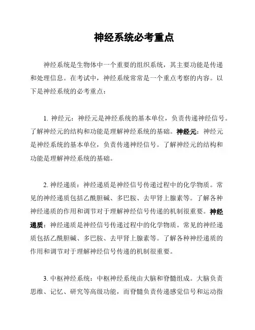 神经系统必考重点