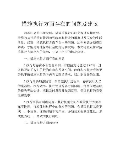 措施执行方面存在的问题及建议
