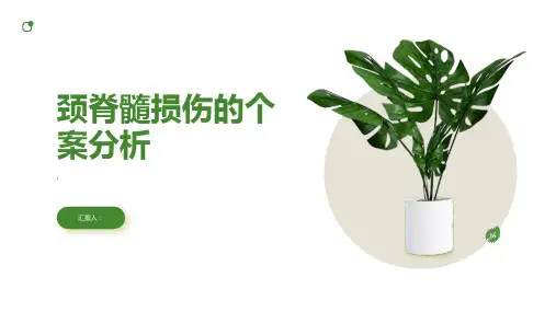 颈脊髓损伤的个案分析