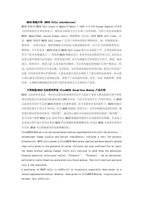 mdck细胞介绍