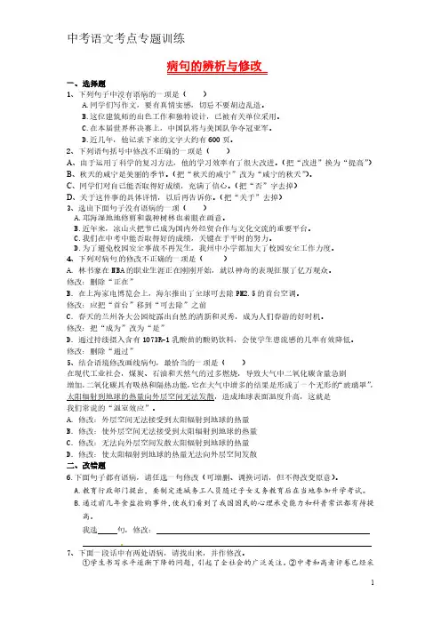 中考语文考点专题 病句的辨析与修改(含答案)