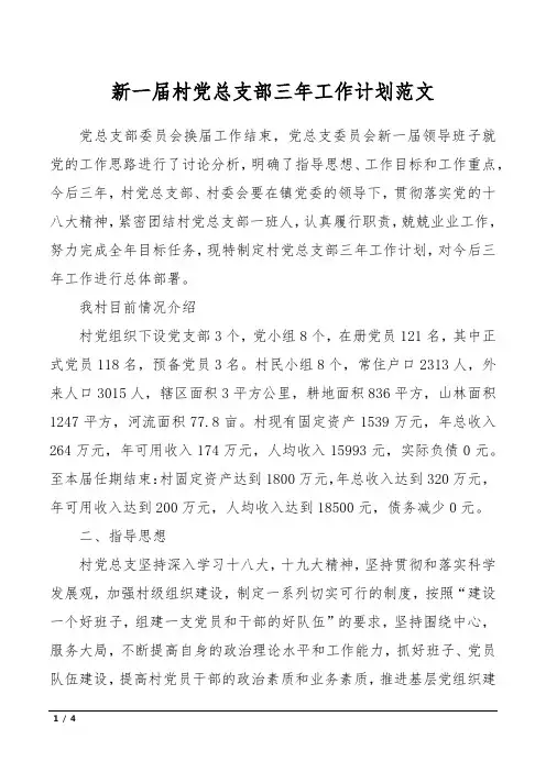 新一届村党总支部三年工作计划范文