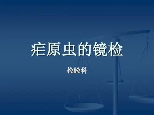 疟原虫