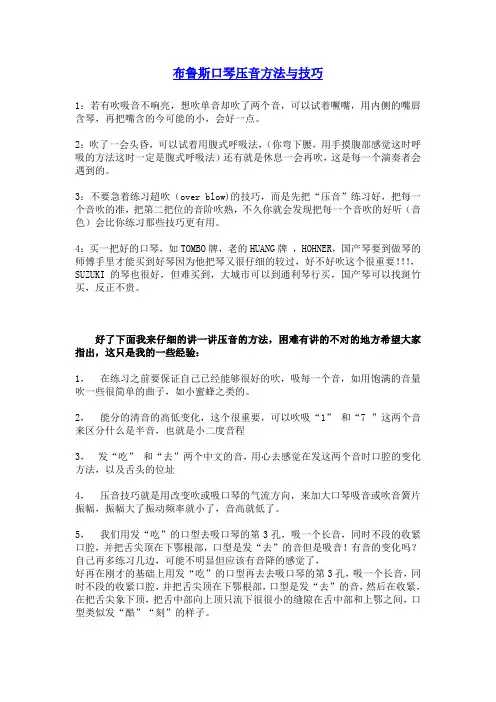 3马井堂-布鲁斯口琴-压音方法与技巧-【免费下载】