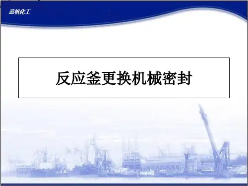 反应釜更换机械密封 ppt课件