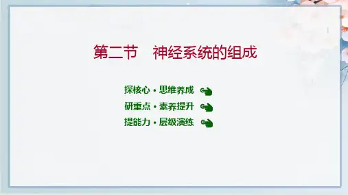 2022年人教版七年级下册生物第四单元第六章第二节 神经系统的组成