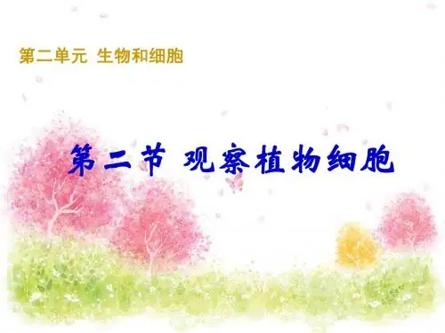102257 第二节 观察植物细胞