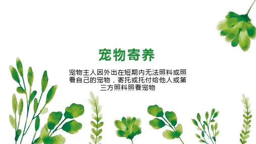 宠物寄养    
