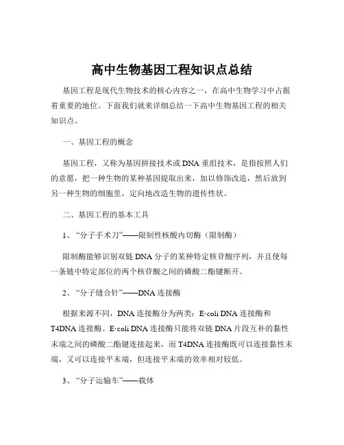 高中生物基因工程知识点总结